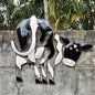 Black & White Cow Jumbo - Just-Oz