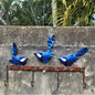 Blue Wren Hooks - Just-Oz