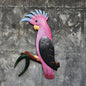 Galah Straight - Just-Oz