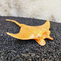 Stingray Single