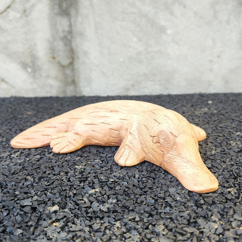 Platypus 15cm