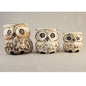 Owls Chubby - Just-Oz
