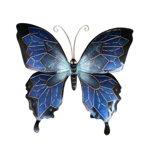 Ulysses Butterfly