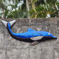 Dolphin Swimming - Just-Oz