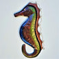 Seahorse Detail