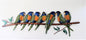7 Lorikeet Family Sitting On A Branch - Just-Oz