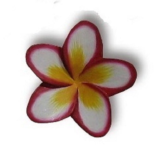 Painted Frangipani. - Just-Oz