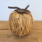 Akar Apple